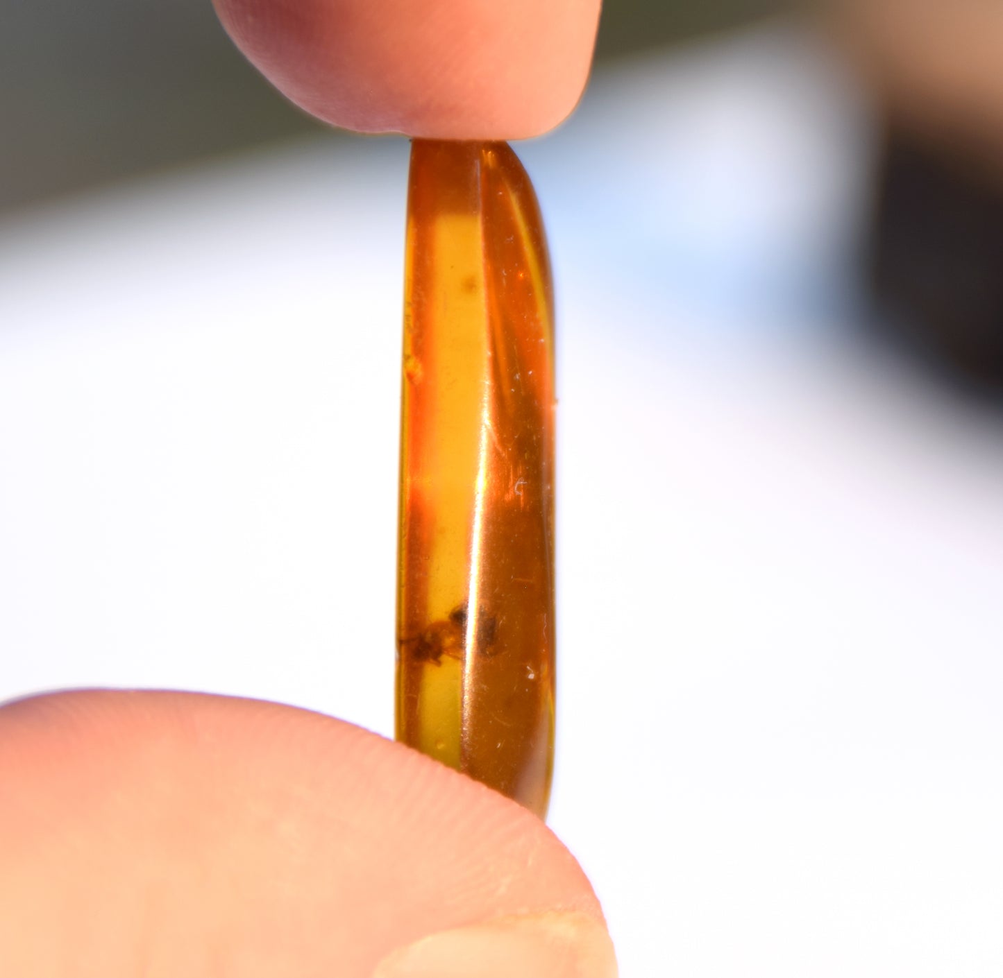 Irregularly shaped natural Amber gem with fossil inclusions for collection, MJ Baltica, BW303