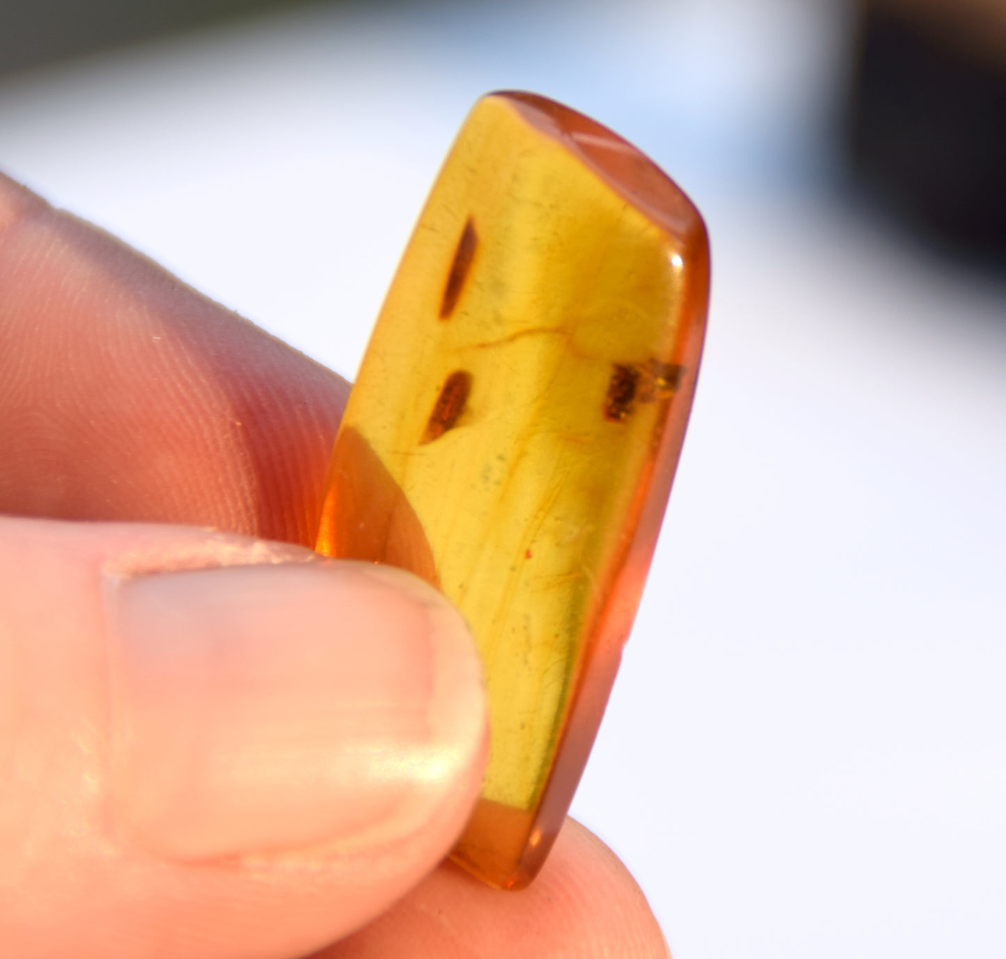 Irregularly shaped natural Amber gem with fossil inclusions for collection, MJ Baltica, BW303