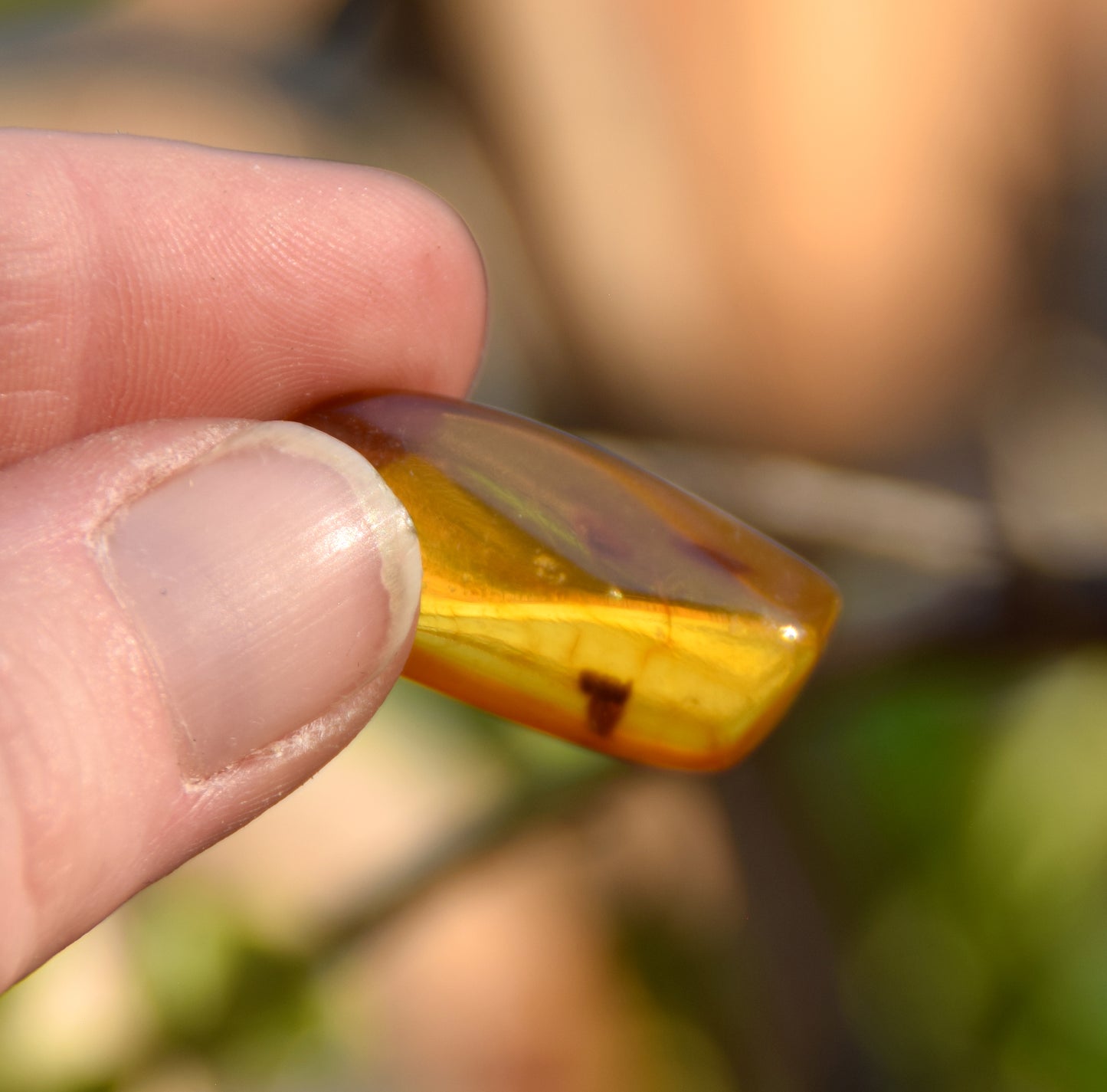 Irregularly shaped natural Amber gem with fossil inclusions for collection, MJ Baltica, BW303