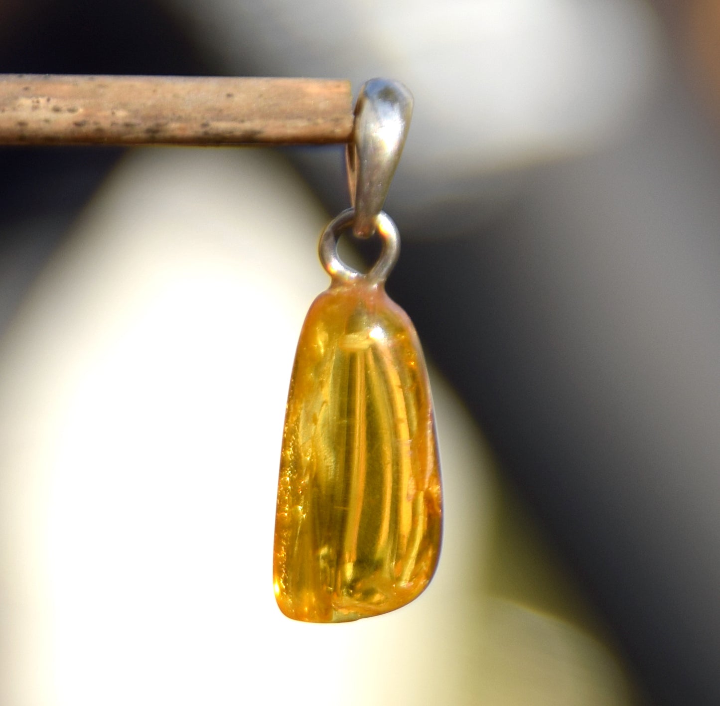 Collectible natural Baltic Amber gemstone pendant with fossil inclusions, MJ Baltica, BW304