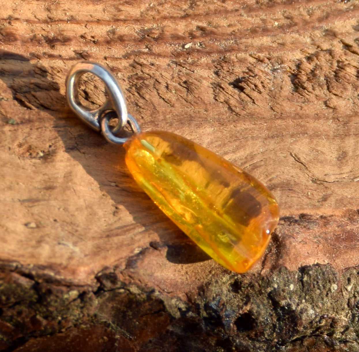 Collectible natural Baltic Amber gemstone pendant with fossil inclusions, MJ Baltica, BW304