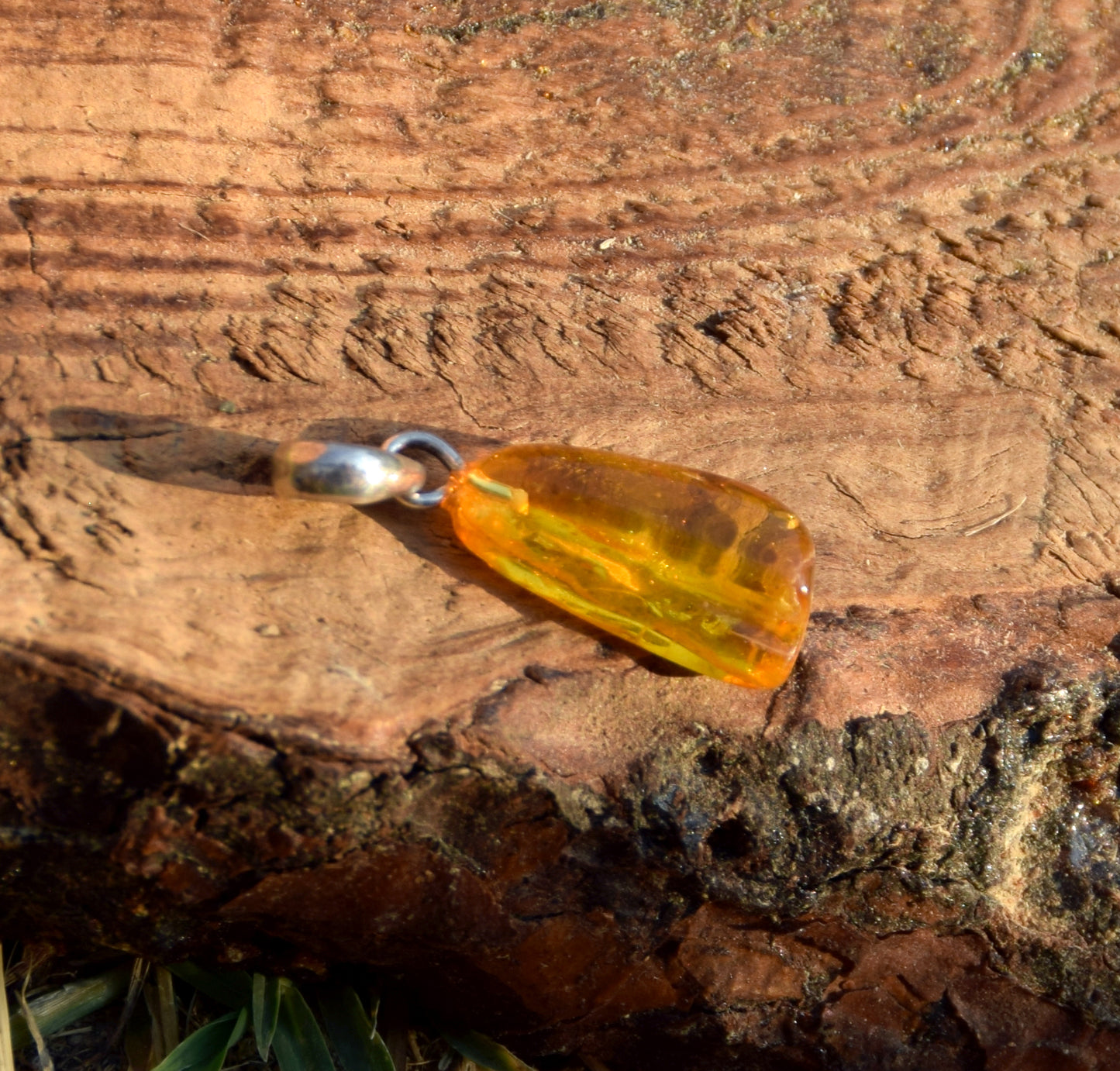 Collectible natural Baltic Amber gemstone pendant with fossil inclusions, MJ Baltica, BW304
