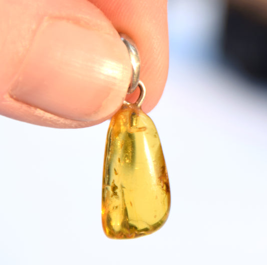 Collectible natural Baltic Amber gemstone pendant with fossil inclusions, MJ Baltica, BW304