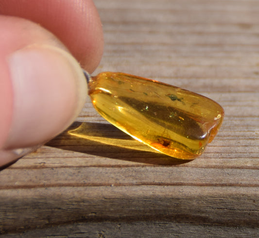 Collectible natural Baltic Amber gemstone pendant with fossil inclusions, MJ Baltica, BW304
