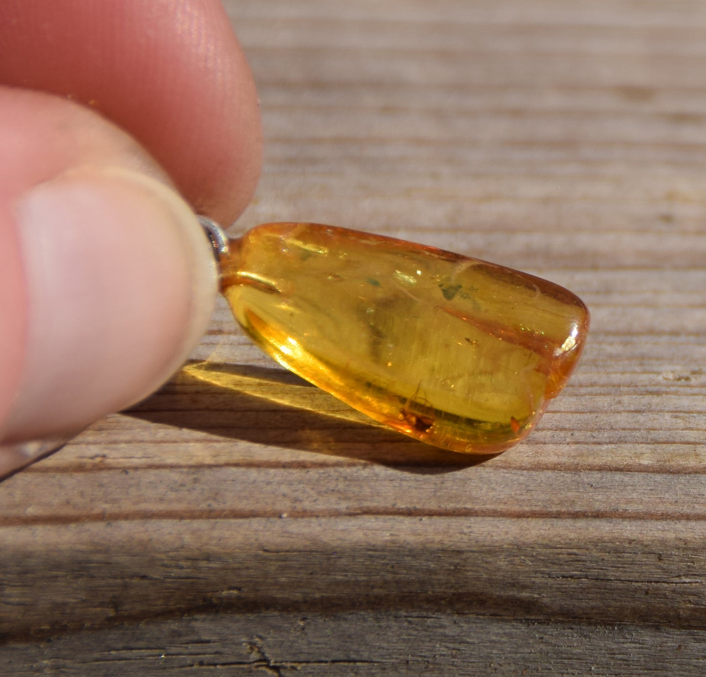 Collectible natural Baltic Amber gemstone pendant with fossil inclusions, MJ Baltica, BW304