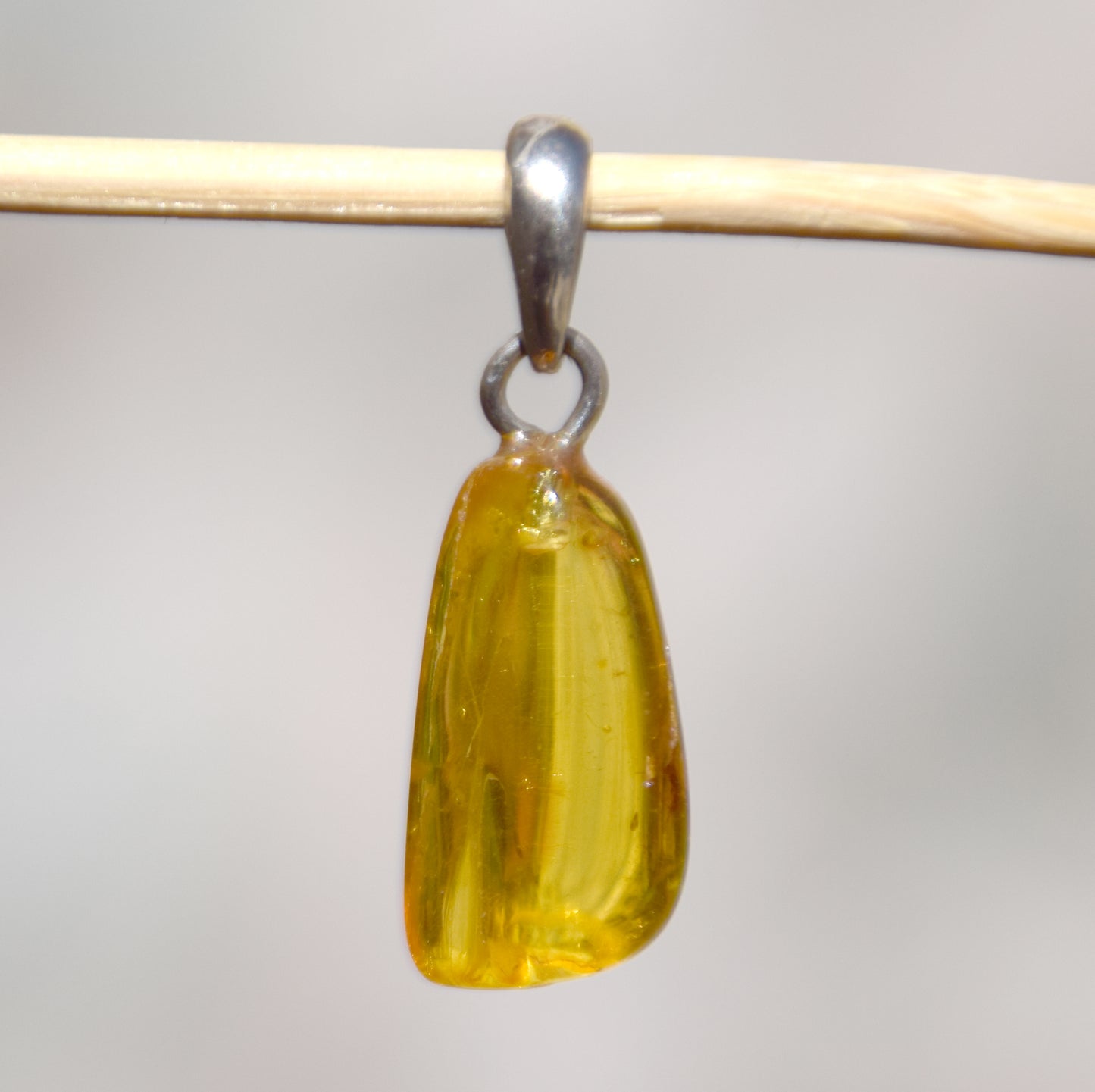 Collectible natural Baltic Amber gemstone pendant with fossil inclusions, MJ Baltica, BW304