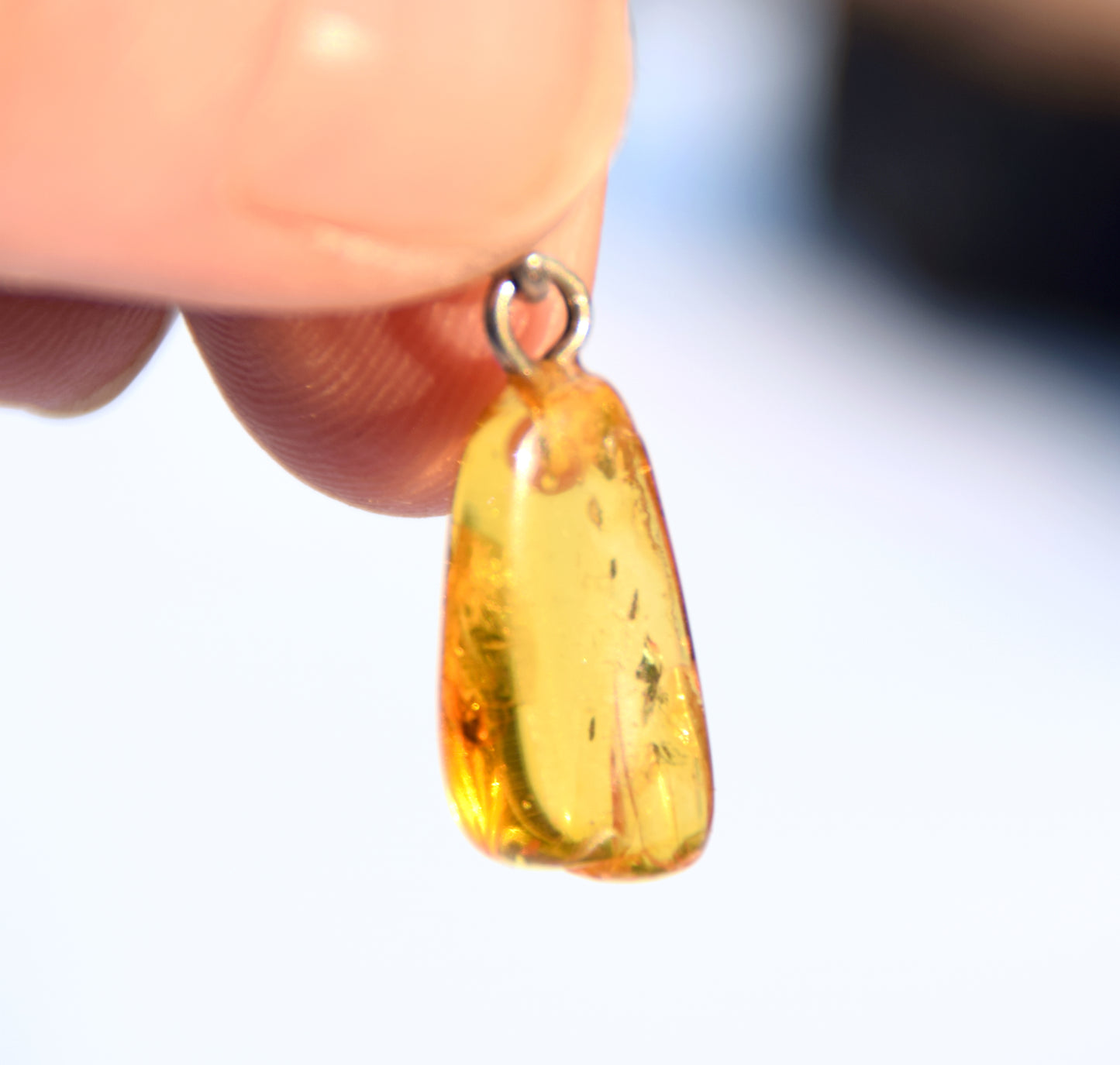 Collectible natural Baltic Amber gemstone pendant with fossil inclusions, MJ Baltica, BW304