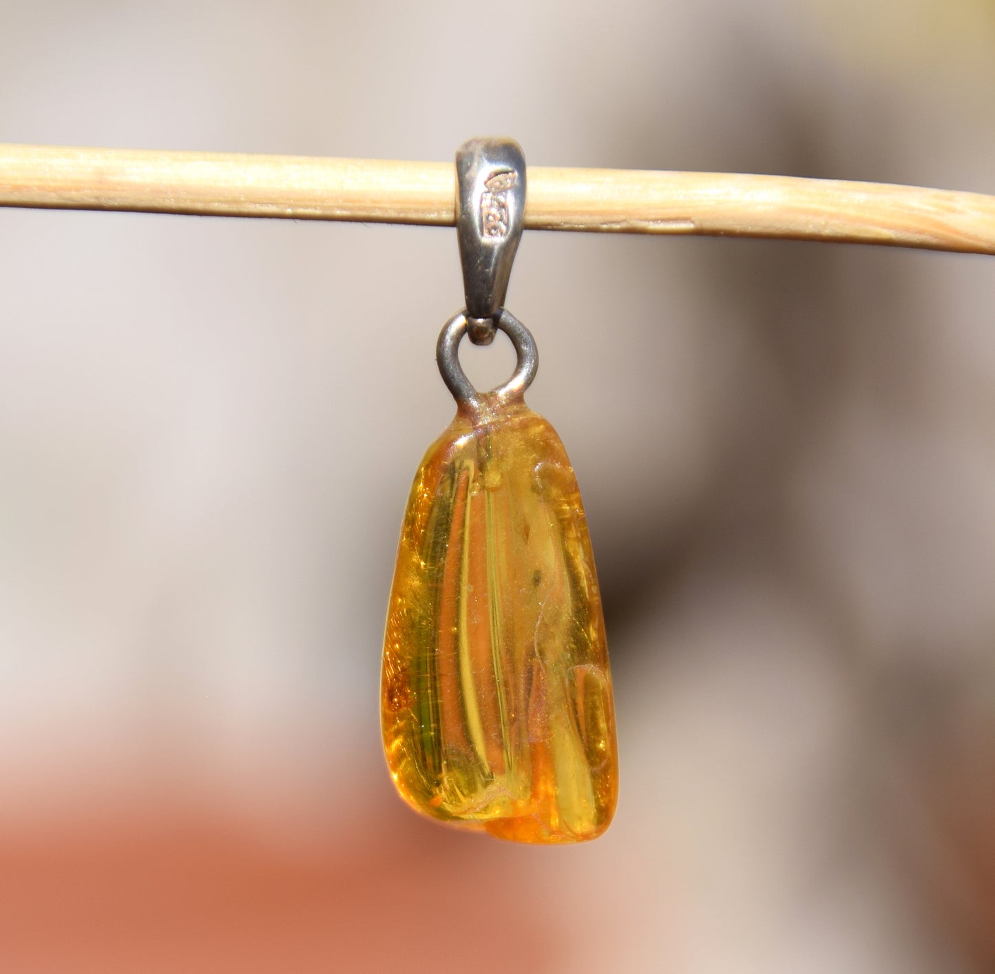 Collectible natural Baltic Amber gemstone pendant with fossil inclusions, MJ Baltica, BW304