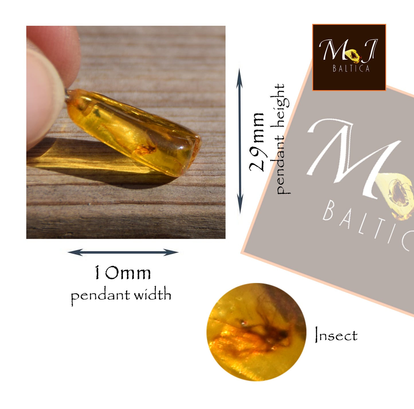 Collectible natural Baltic Amber gemstone pendant with fossil inclusions, MJ Baltica, BW304