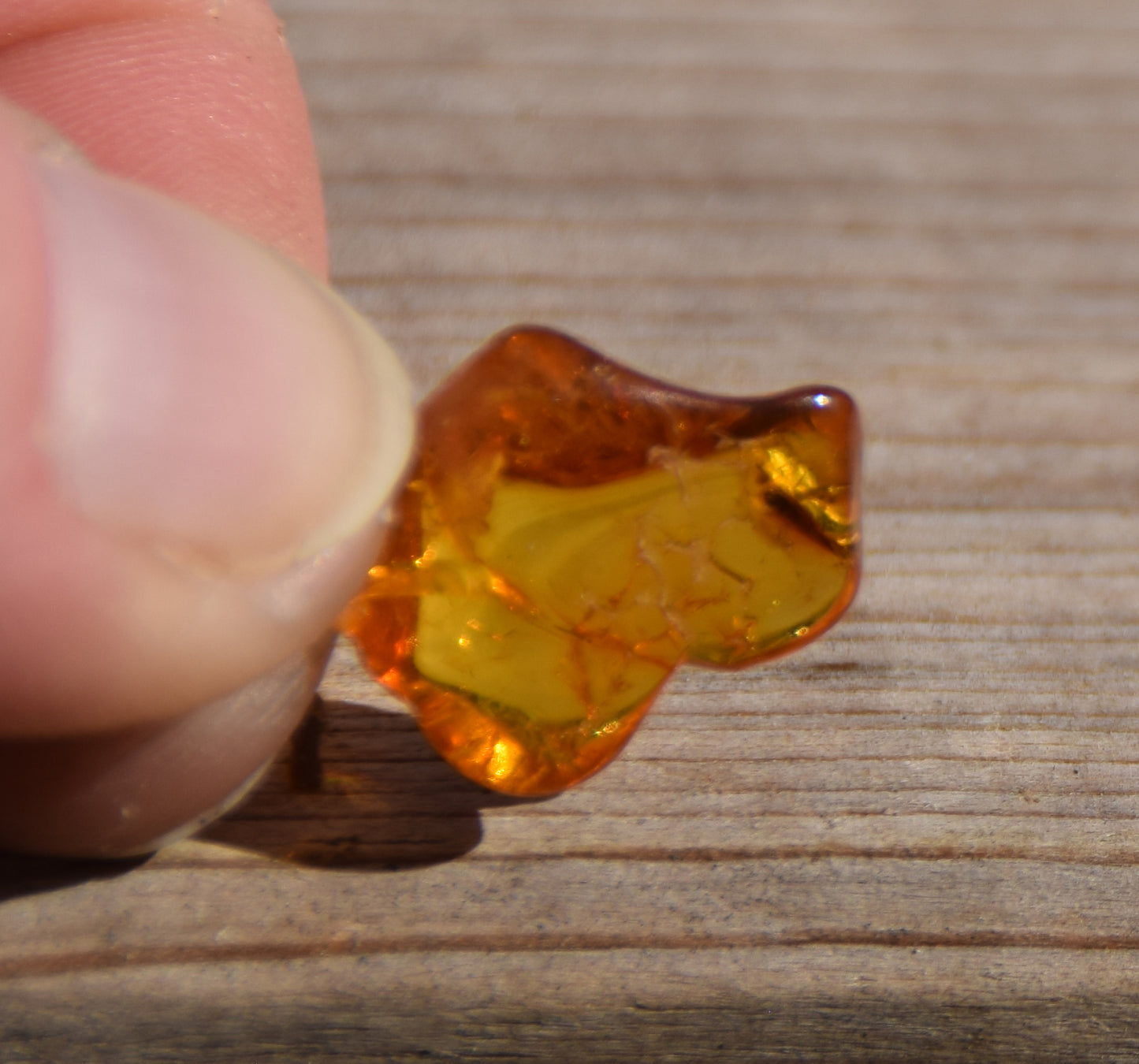 Ciondolo con la gemma di Ambra baltica Naturale con le inclusioni fossili da collezione, MJ Baltica, BW351