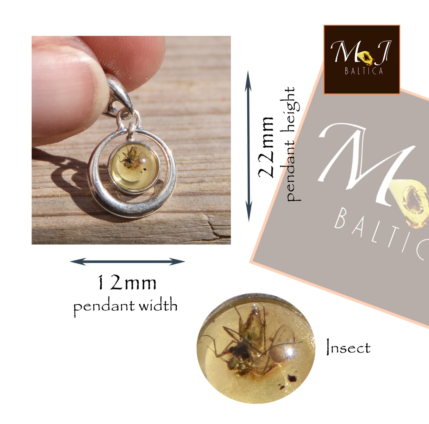 Ciondolo con la gemma di Ambra baltica Naturale con le inclusioni fossili da collezione, MJ Baltica, BW352