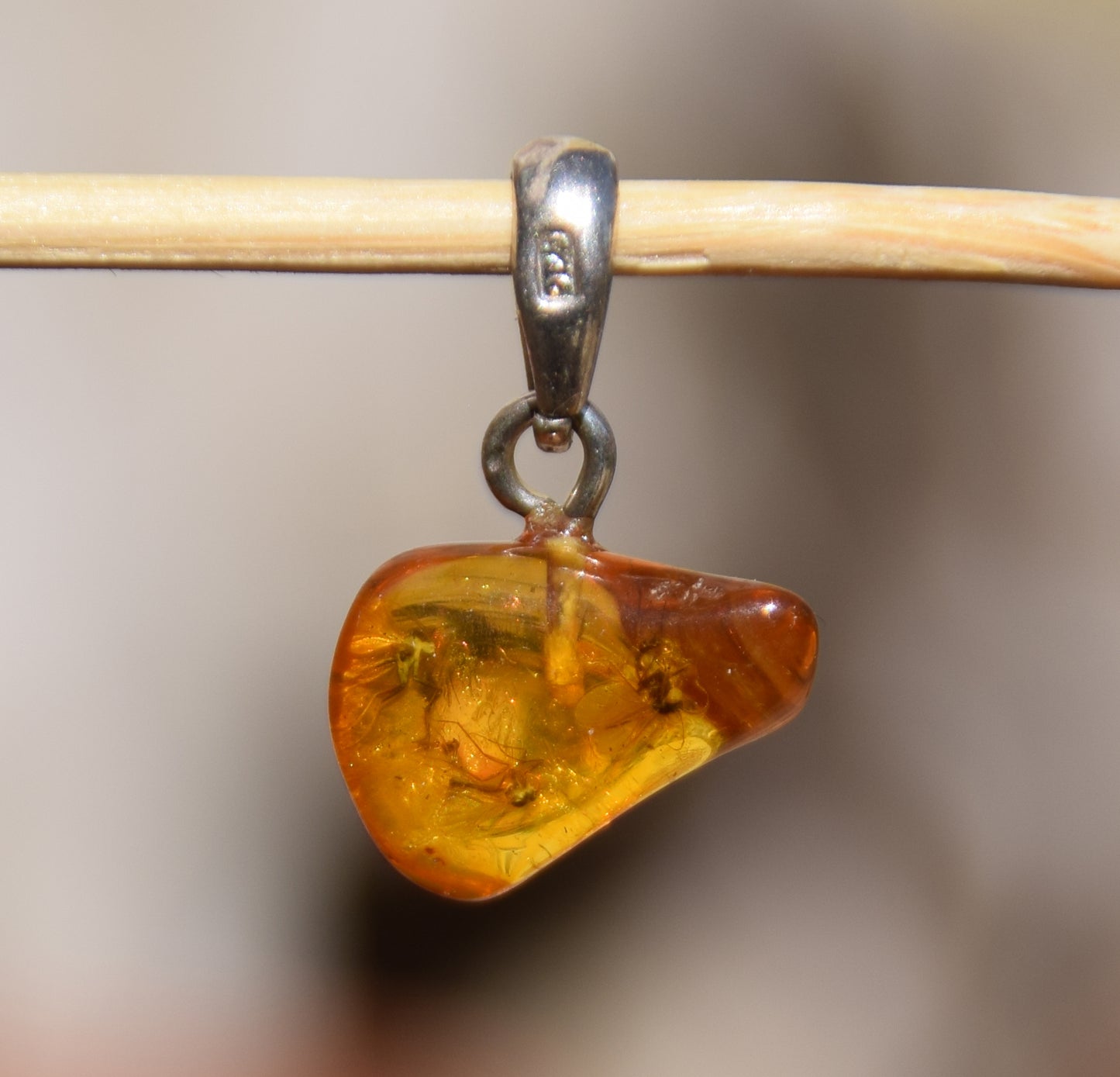 Ciondolo con la gemma di Ambra baltica Naturale con le inclusioni fossili da collezione, MJ Baltica, BW356