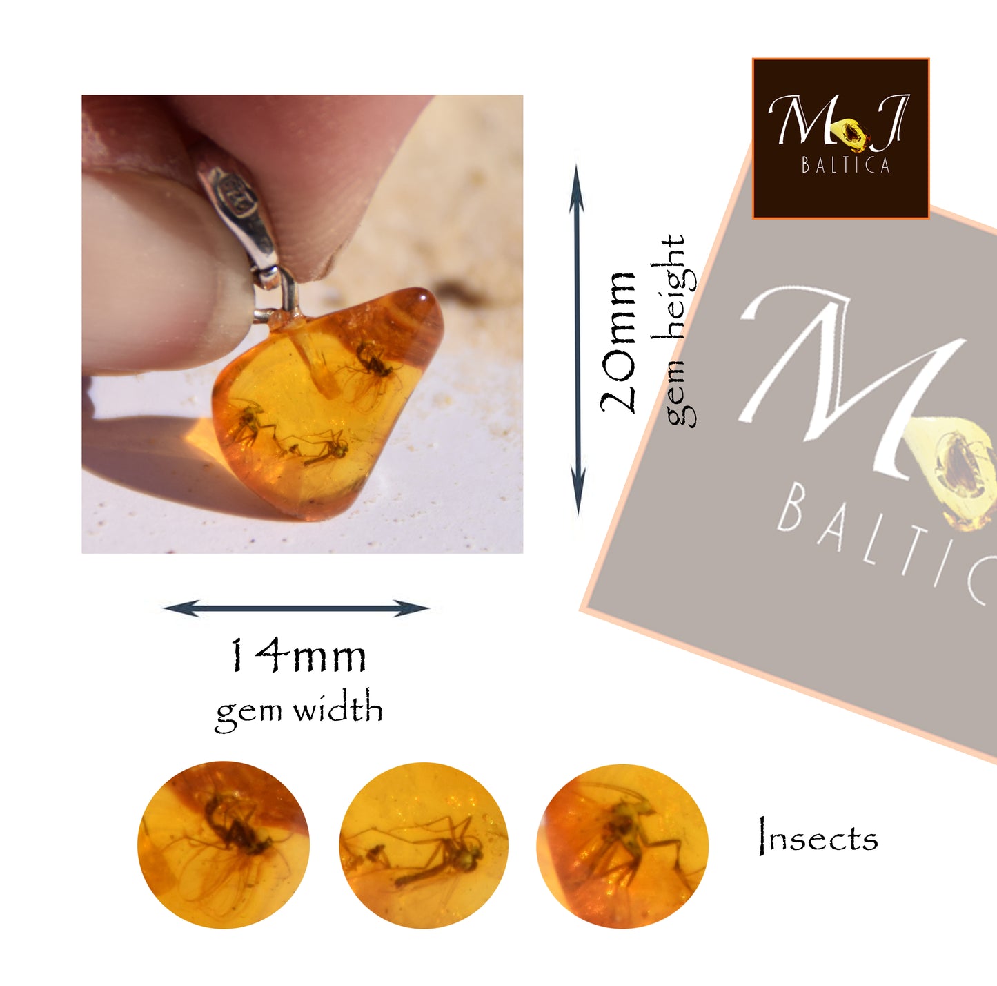 Ciondolo con la gemma di Ambra baltica Naturale con le inclusioni fossili da collezione, MJ Baltica, BW356