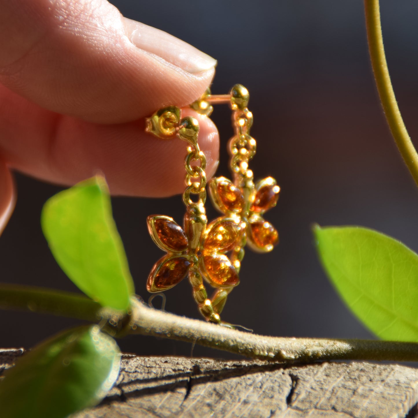 Orecchini con libellula simbolo di libertà in Ambra naturale color cognac e Argento 925 placcato in Oro 18k, MJ Baltica, BZK184