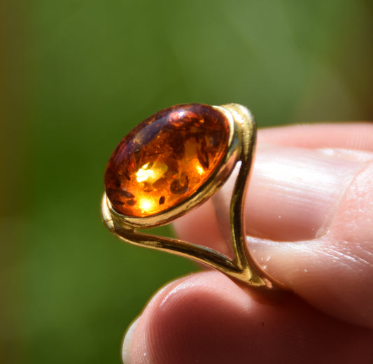 MJ Baltica, anello, Ambra naturale Baltica, Argento 925, placcato in Oro 18k, classico, luminoso, ovale BZP012