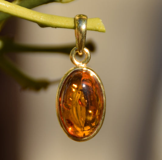 MJ Baltica, Ciondolo di Ambra naturale con Argento, placcato in Oro 18k BZW003