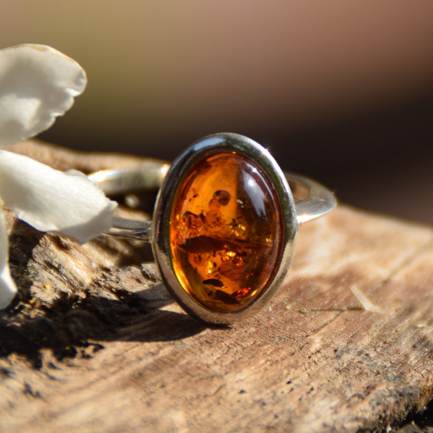 Strahlender Ring im Essential-Stil mit cognacfarbenem Naturbernstein und 925er Silber, MJ Baltica, BP099