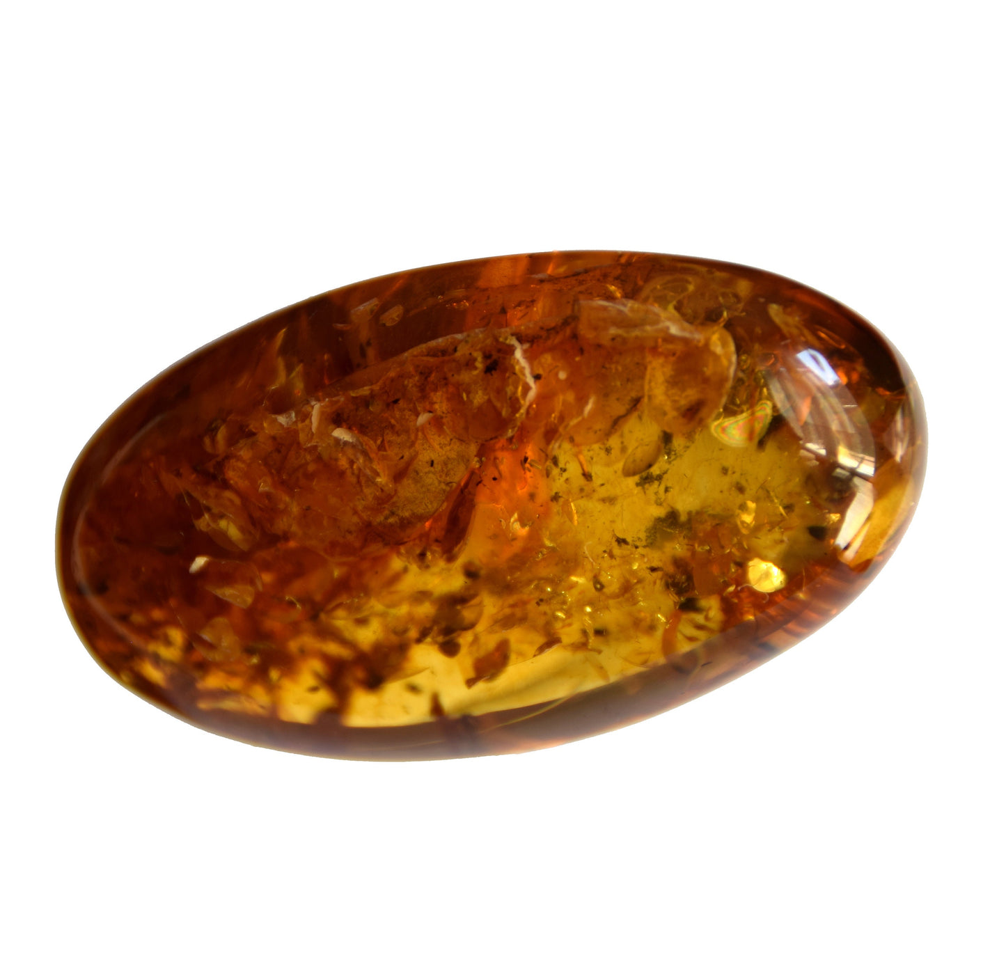 MJ Baltica, Natural Baltic Amber, with inclusions, insects, to be set, collectible, large, unique, beautiful BW095