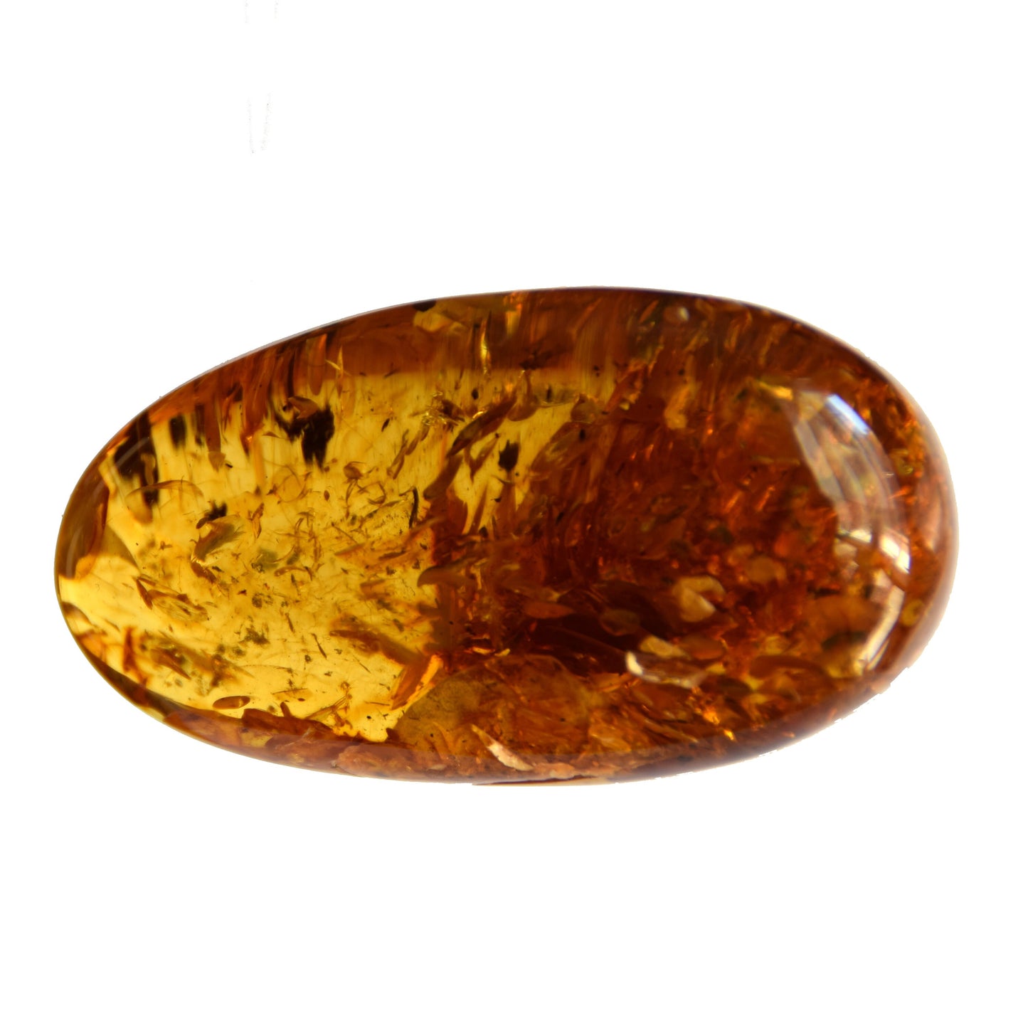 MJ Baltica, Natural Baltic Amber, with inclusions, insects, to be set, collectible, large, unique, beautiful BW095