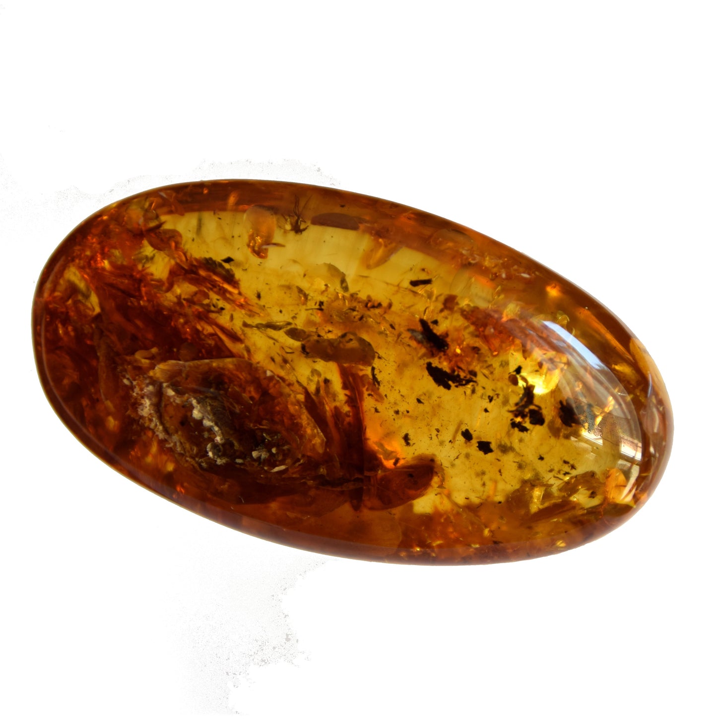 MJ Baltica, Natural Baltic Amber, with inclusions, insects, to be set, collectible, large, unique, beautiful BW095