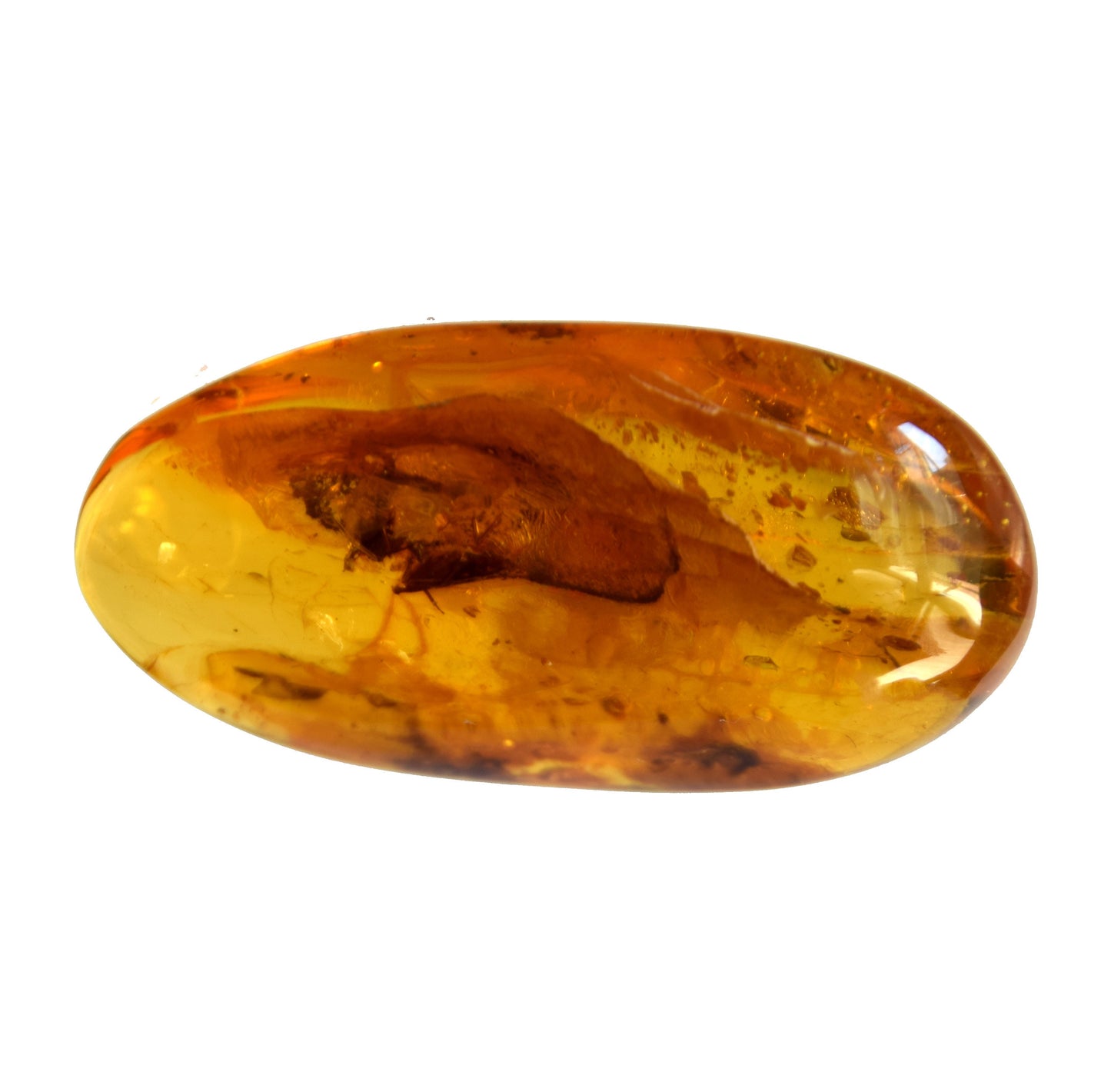 MJ Baltica Natural Baltic Amber Gemstone with Inclusions Insects Prehistoric Collectible Setting BW096