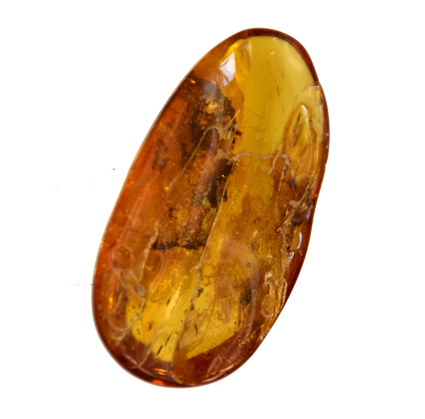 MJ Baltica Natural Baltic Amber Gemstone with Inclusions Insects Prehistoric Collectible Setting BW096