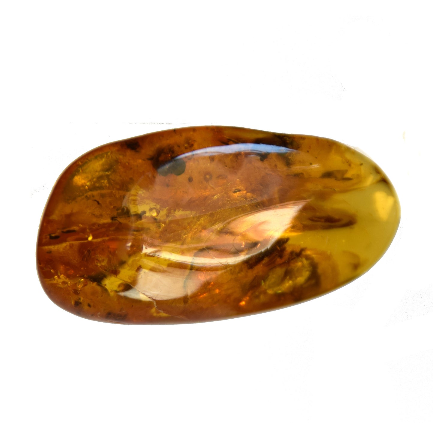 MJ Baltica Natural Baltic Amber Gemstone with Inclusions Insects Prehistoric Collectible Setting BW096