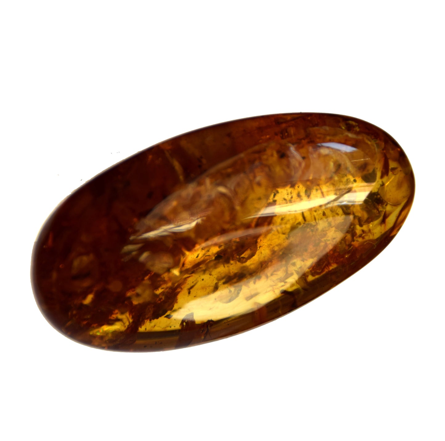 MJ Baltica, Natural Baltic Amber, with inclusions, insects, to be set, collectible, large, unique, beautiful BW095