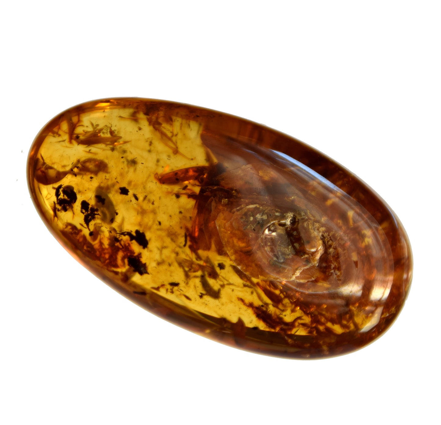 MJ Baltica, Natural Baltic Amber, with inclusions, insects, to be set, collectible, large, unique, beautiful BW095