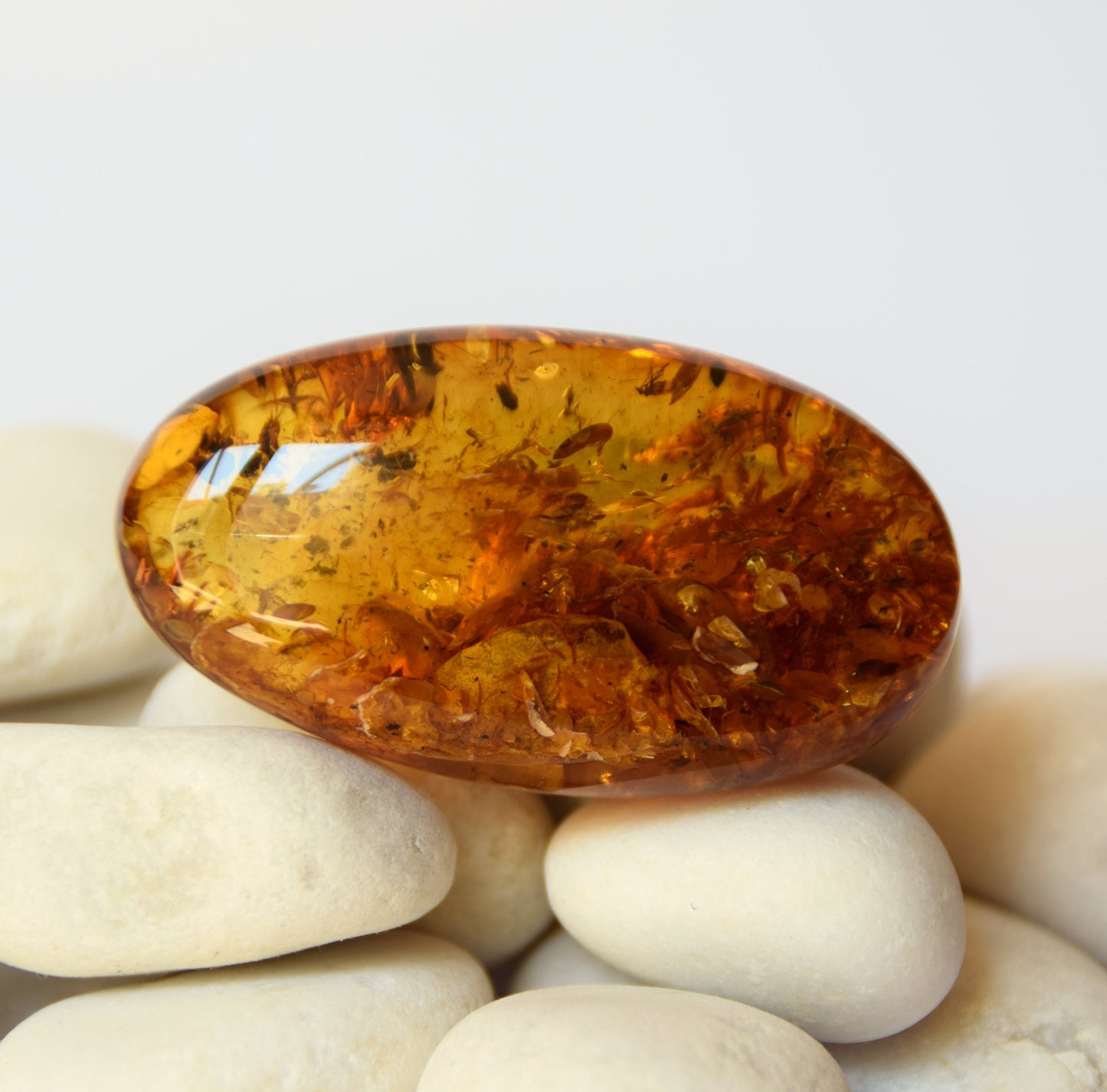 MJ Baltica, Natural Baltic Amber, with inclusions, insects, to be set, collectible, large, unique, beautiful BW095