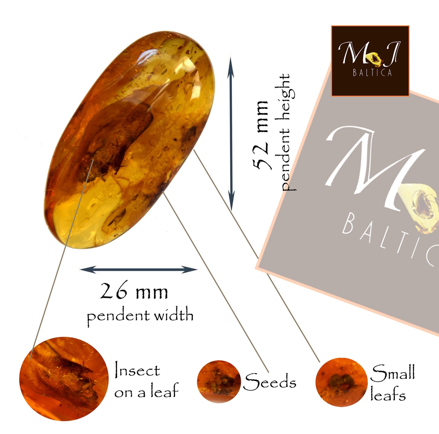 MJ Baltica Natürlicher baltischer Bernstein-Edelstein mit Einschlüssen, Insekten, prähistorische Sammlerfassung, BW096