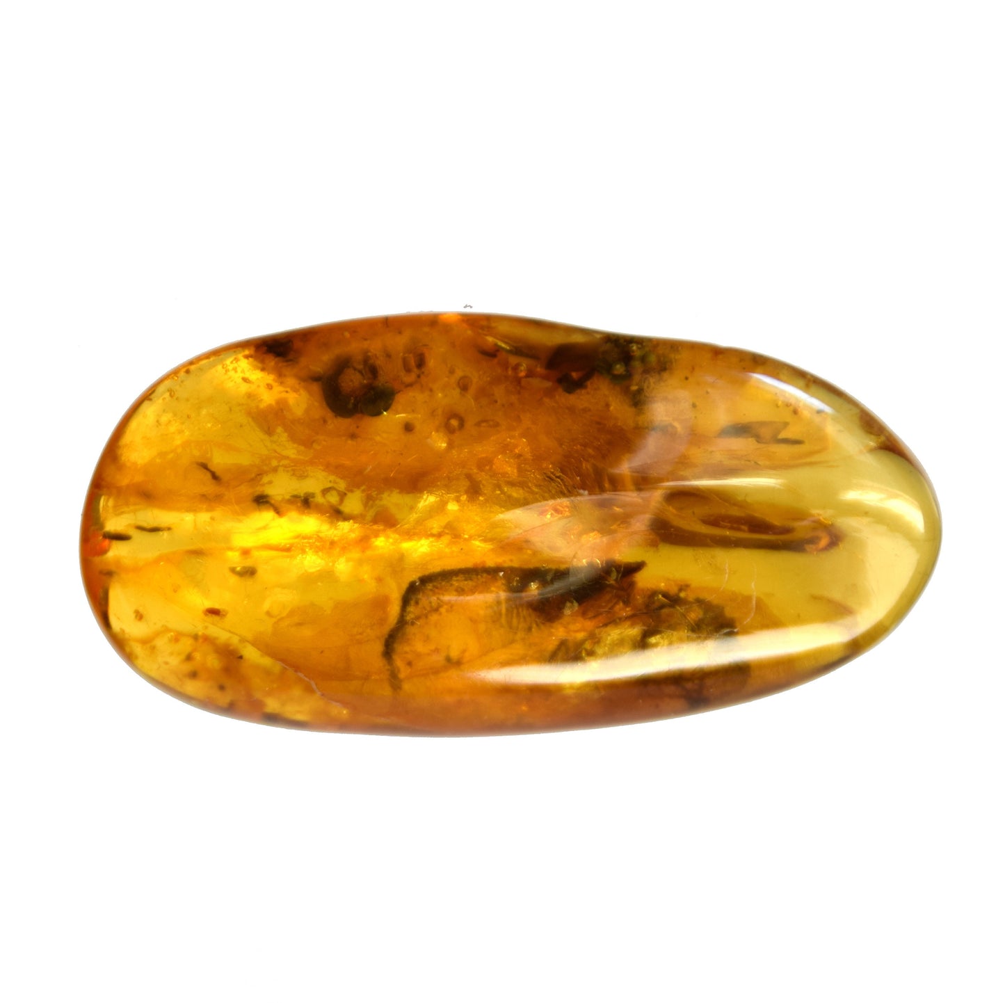 MJ Baltica Natural Baltic Amber Gemstone with Inclusions Insects Prehistoric Collectible Setting BW096