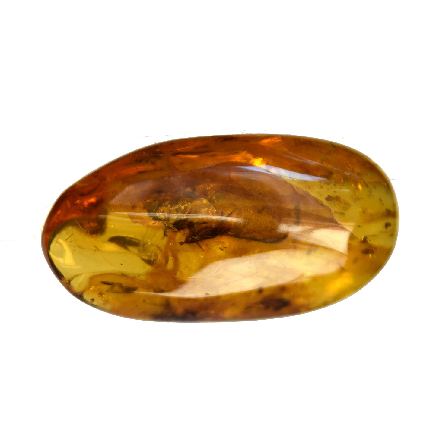 MJ Baltica Natural Baltic Amber Gemstone with Inclusions Insects Prehistoric Collectible Setting BW096